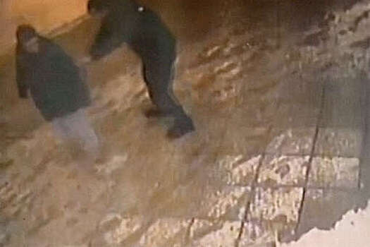 В центре Москвы вор похитил у мужчины телефон, стряхивая снег с его куртки