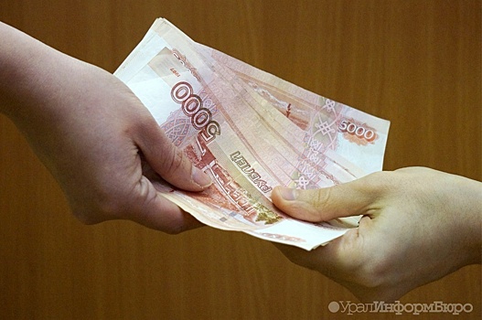 В Челябинске осудили организаторов финансовой пирамиды, похитивших свыше 104 млн рублей