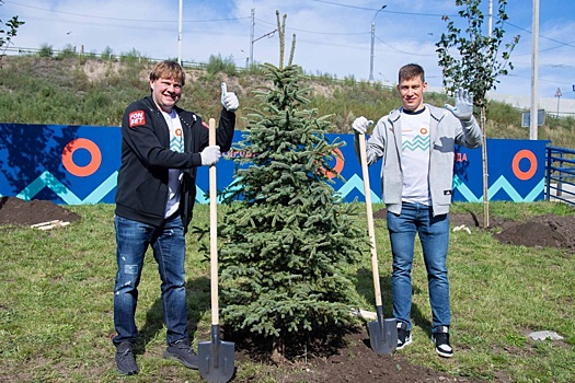 Волонтеры высадили десятки деревьев возле хоккейной академии "Авангард"