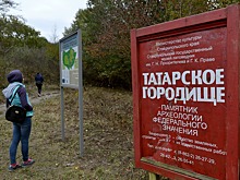 На историческом фестивале в Ставрополе устроят публичную реставрацию половецкого изваяния