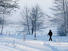 Синоптик Тишковец сообщил, когда в Москву вернется зимняя погода после оттепели
