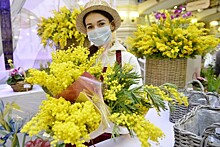 Продажи цветов поддерживают столичный малый бизнес и приносят прибыль в городской бюджет