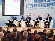 Ярославская область – в числе лидеров по внедрению системы электронной ветеринарной сертификации