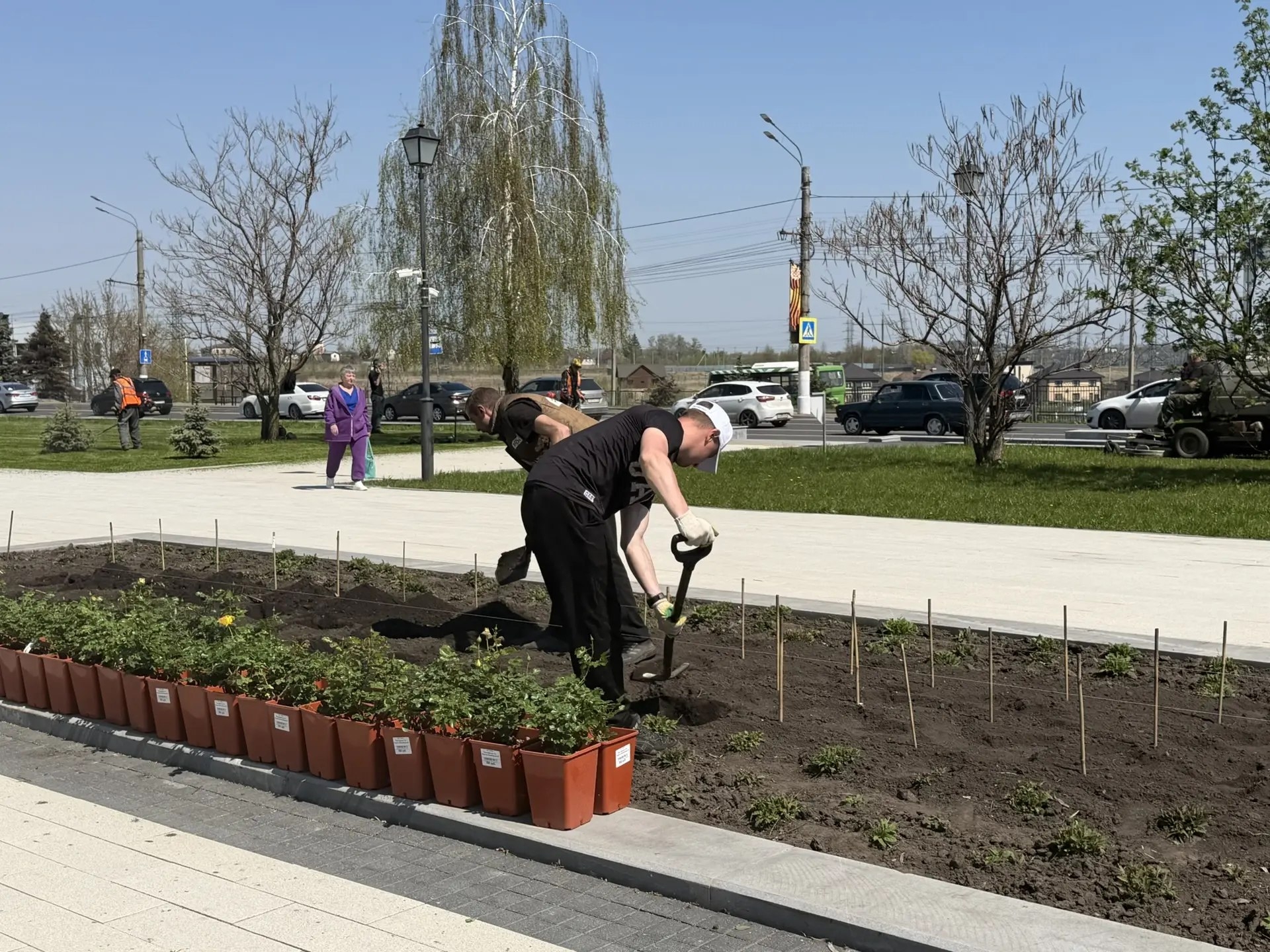 В курском парке «Патриот» высадили 450 роз к Дню Победы