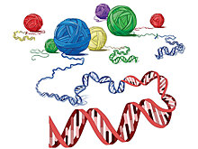 Ученые разработали новую методику лечения рака