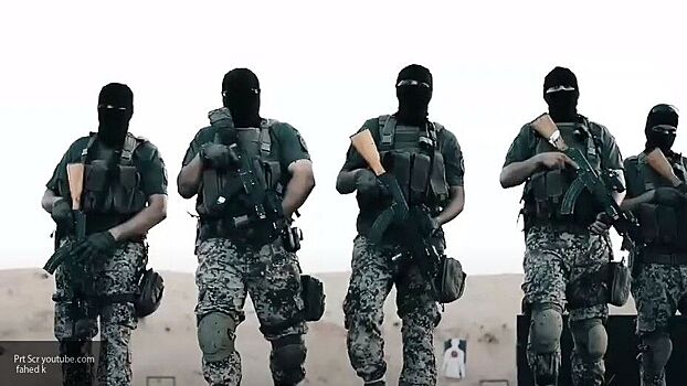 Эксперты объяснили отказ ПНС Ливии от штурма Сирта