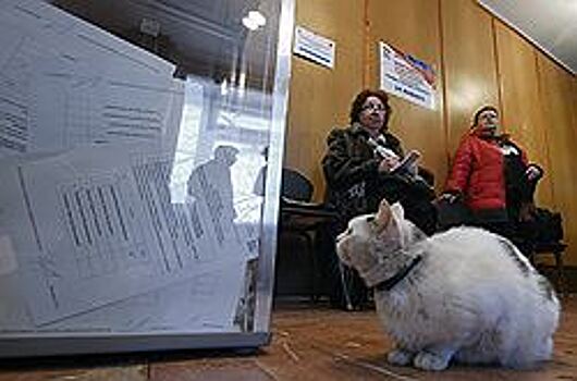 Коммунисты объявили борьбу «маркам» для голосования