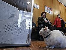 Коммунисты объявили борьбу «маркам» для голосования