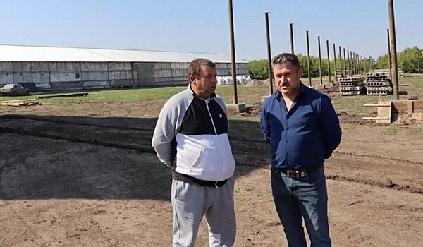 Как создать запас прочности в зерновом хозяйстве – опыт алтайского фермера Быкова