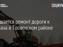 Завершается ремонт дороги к Тельмана в Тосненском районе