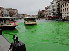 Прокуратура Венеции завела дело на Грету Тунберг