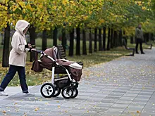 В Минтруде предложили сделать программу маткапитала бессрочной