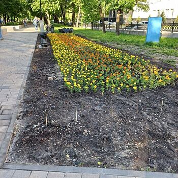 КПРФ просит мэра Нижнего Новгорода отчитаться о затратах на озеленение Звездинского сквера
