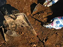 Редчайшую индийскую монету нашли при раскопках под Суздалем