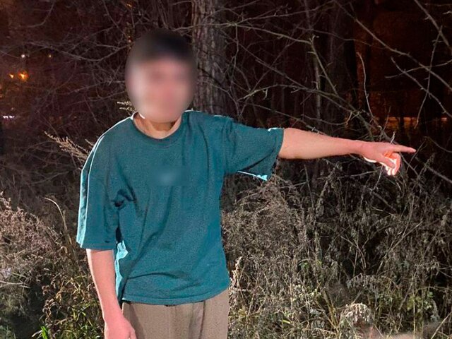 Обезглавившего мать мужчину в Екатеринбурге проверят на вменяемость