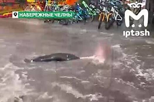 Житель российского города устроил аквапарк в дождевой воде и попал на видео