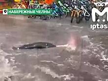 Житель российского города устроил аквапарк в дождевой воде и попал на видео