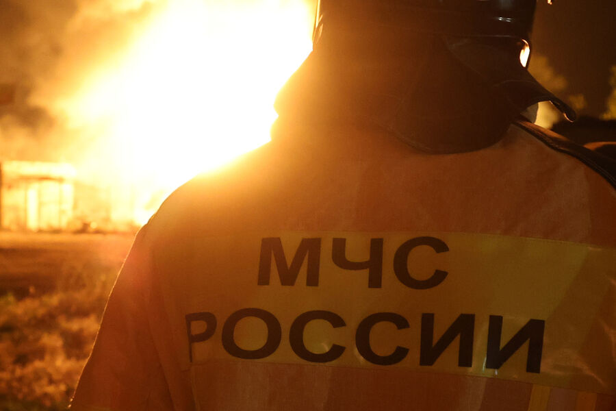 Медведь растерзал пожарного в лесу Забайкалья