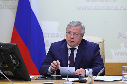 Василий Голубев предложил первоочередные меры для скорейшей интеграции Донбасса