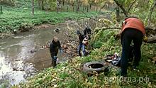 Более 4 км водоохранной зоны рек очищено в Вологде в 2021 году