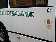 Бывший мэр города Семилуки возглавил муниципальный «Воронежпассажиртранс»