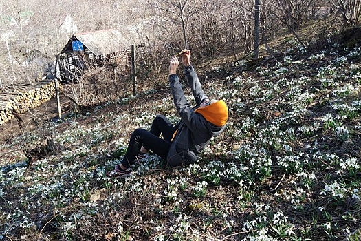 В Крыму накануне 8 марта открылась охота на краснокнижные подснежники