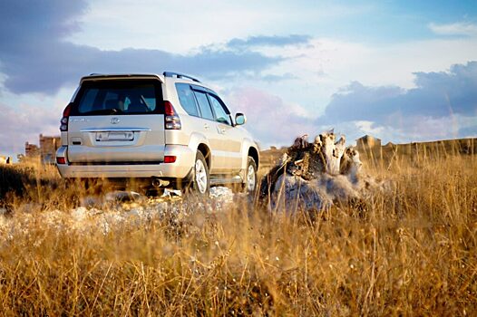 Новый Toyota Land Cruiser Prado может выйти в 2023 году
