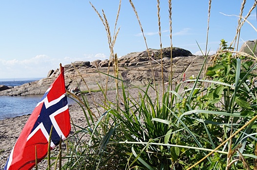 Норвегия станет разменной монетой в попытках США завладеть Арктикой