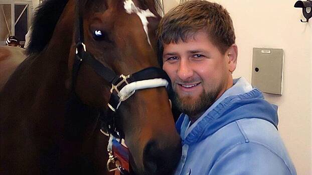 Любимый конь Кадырова отдохнул в Ростове и отправился в Грозный