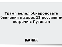 Трамп обвинил россиян во "вмешательстве" до саммита
