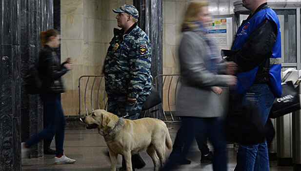 В московском метро обучат более 80 собак