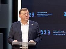На Дону семьям с детьми-инвалидами предоставят бесплатного помощника