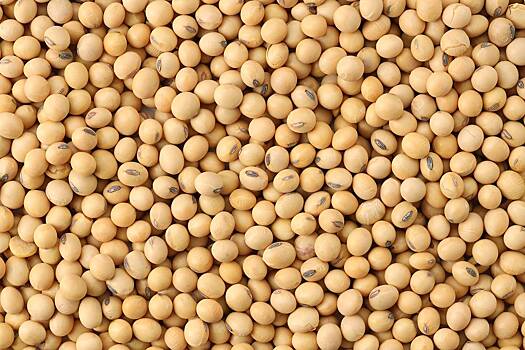 Назван неожиданный продукт для профилактики болезней сердца