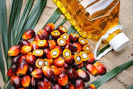 Употребление пальмового масла вызывает рак? В Роскачестве дали ответ