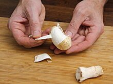 Science Advances: кожуру грибов могут применить в создании компьютерного чипа