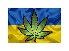 Украина собирается засеять Крым каннабисом &ndash; закон о легализации марихуаны принят