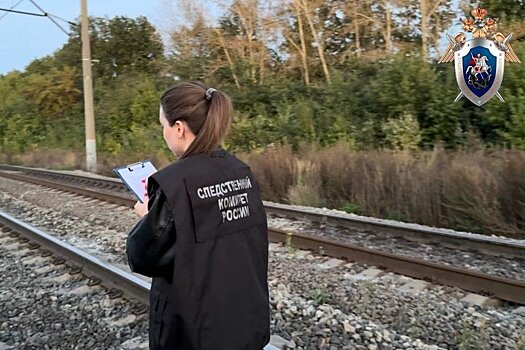 На железной дороге в Татарстане насмерть сбили женщину