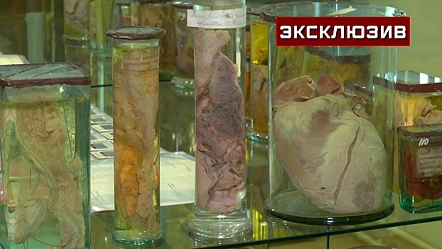 Медики показали редкие экспонаты из закрытого музея НИИ Склифосовского