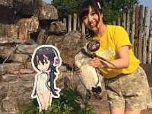 Влюбившийся в картонную аниме-девочку пингвин умер