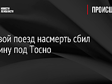 Грузовой поезд насмерть сбил женщину под Тосно