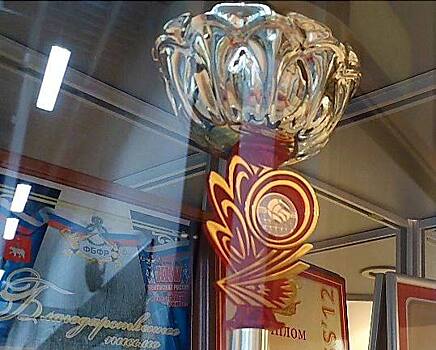 Воспитанница спортивной школы из Некрасовки выиграла Кубок столицы по плаванию