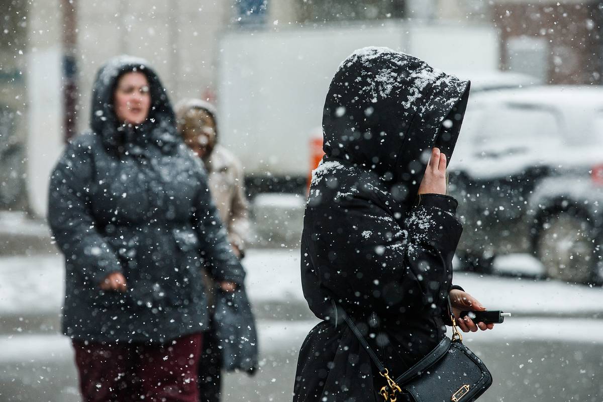 ����&nbsp; ����� ��� �������