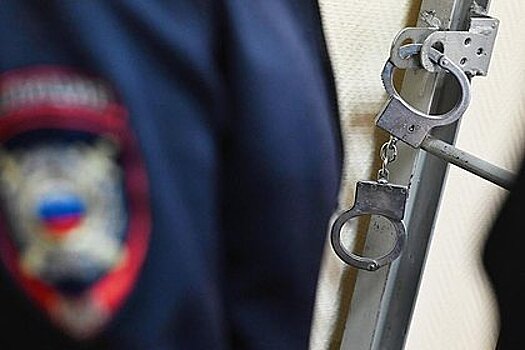 Угрожавшего ножом маленьким дочерям и полицейскому россиянина арестовали