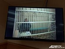 В Оренбурге Евгений Арапов выступил в суде с последним словом
