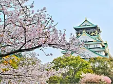 Япония впервые за два года вновь стала принимать туристические группы