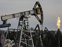 Стало известно, сколько продержится Венгрия без нефти из России