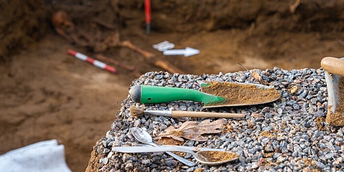 Скульптуру голубого ската возрастом 130 тысяч лет нашли археологи