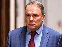 Депутат Госдумы Толстой: Классику не будут цензурировать в целях борьбы с ЛГБТ-пропагандой