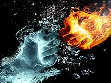 Владельцы «Домотехники» приструнили бывшего вице-губернатора Приморья