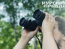Беспилотник повредил дом
